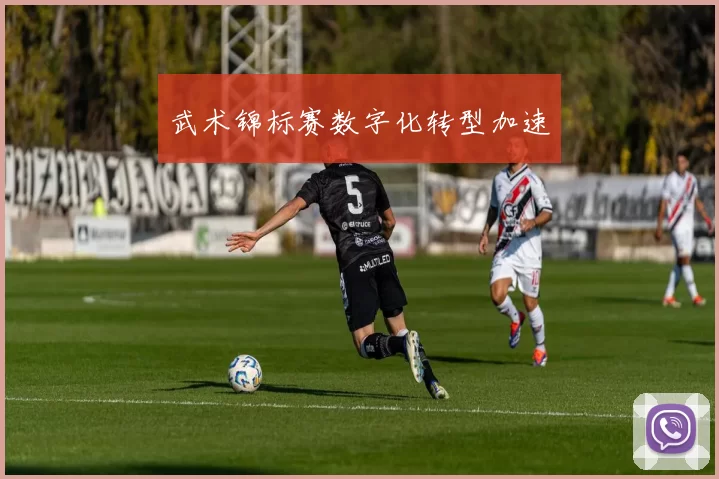 武术锦标赛数字化转型加速