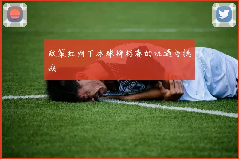 政策红利下冰球锦标赛的机遇与挑战