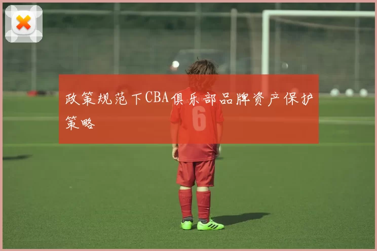 政策规范下CBA俱乐部品牌资产保护策略