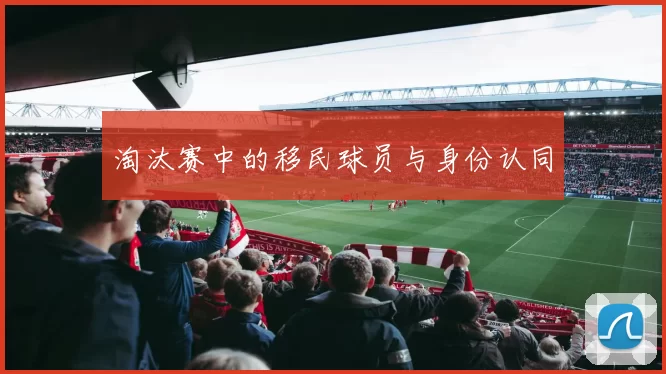 淘汰赛中的移民球员与身份认同