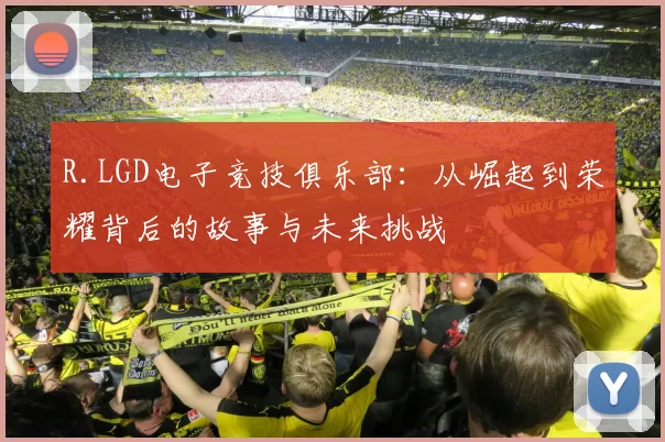 R.LGD电子竞技俱乐部：从崛起到荣耀背后的故事与未来挑战