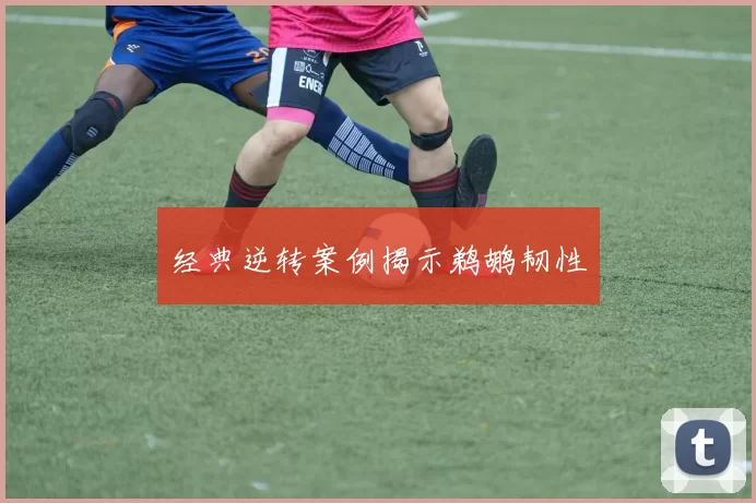 经典逆转案例揭示鹈鹕韧性